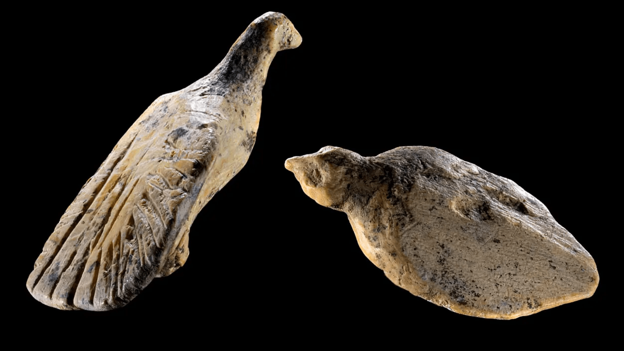 40,000-Year-Old Bird Carvings Reveal Ancient Obsession