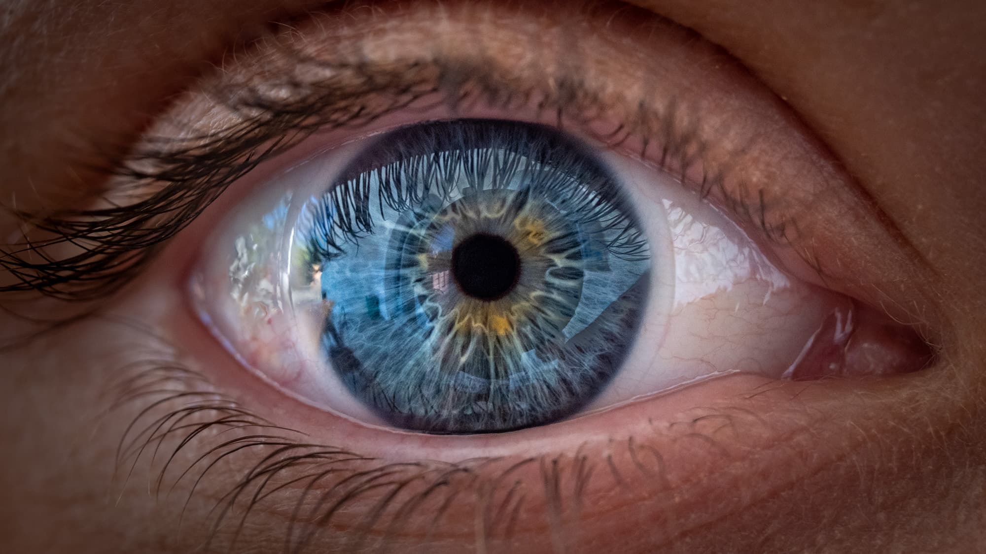 Why Humans Evolved Uniquely Expressive Eyes