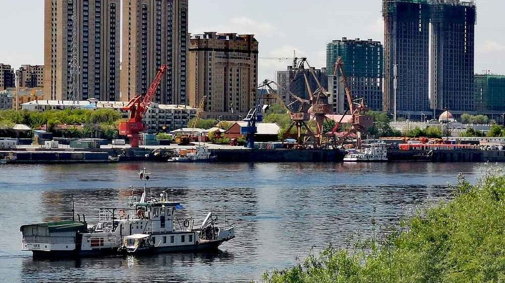 Nearly 500,000 Young Sturgeon Swim Home to the Amur River
