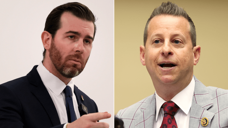 Socialist challenge targets pro-Israel Democrat in swing district