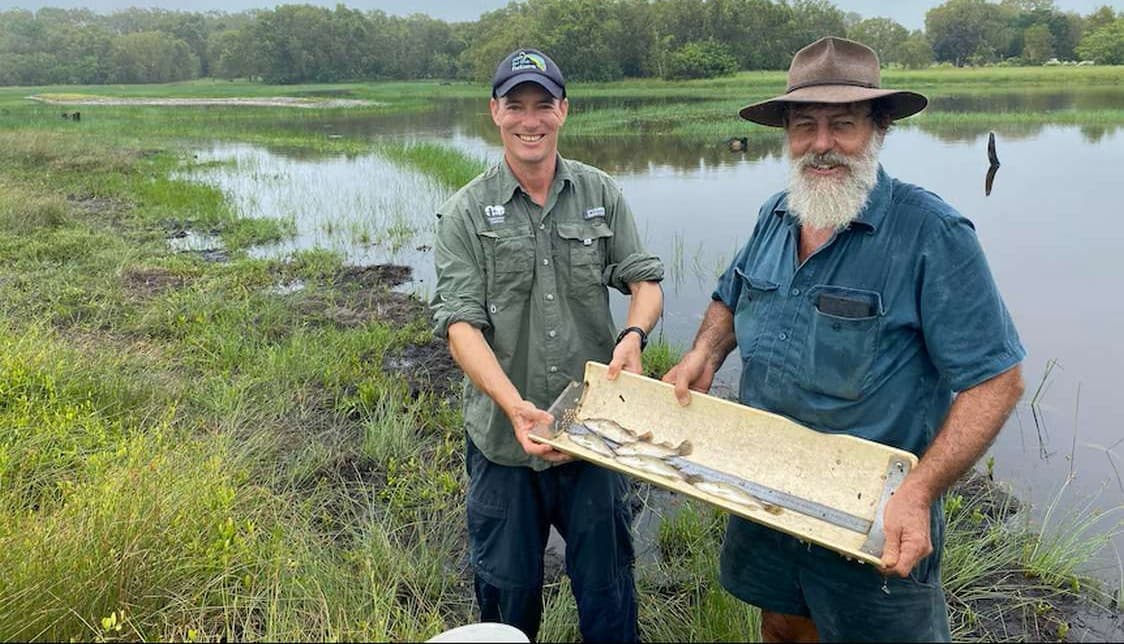 Removing old gates restores Queensland's coastal wetlands