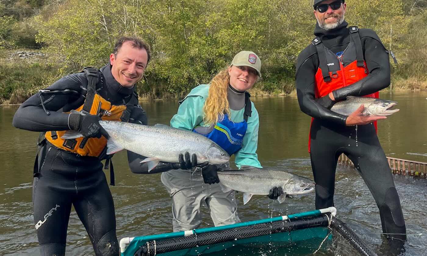 Creek Gets a Second Chance—Young Salmon Thrive Again
