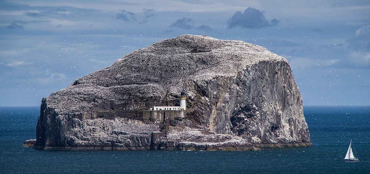 Family Protects 100,000 Seabirds with Historic Gift