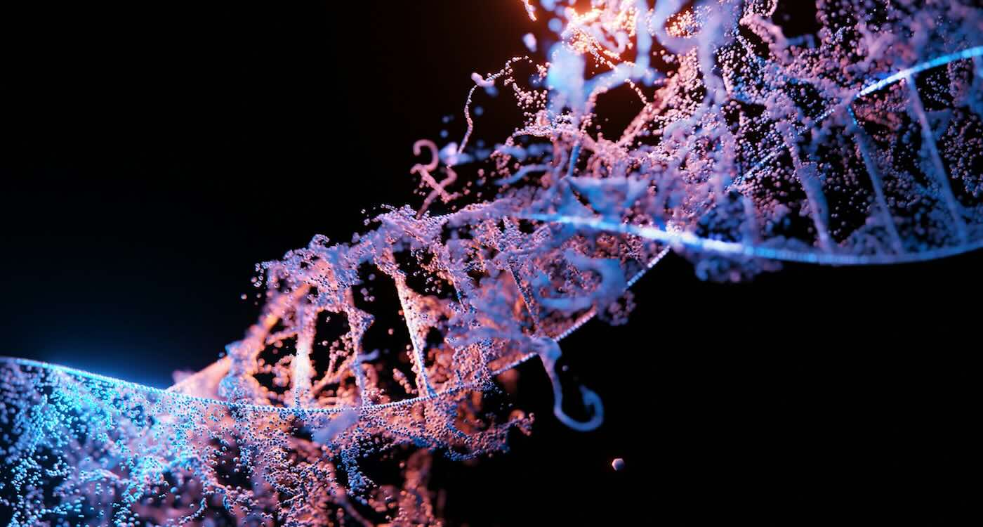 Alzheimer's Drug Repairs DNA, Clears Safety Hurdles