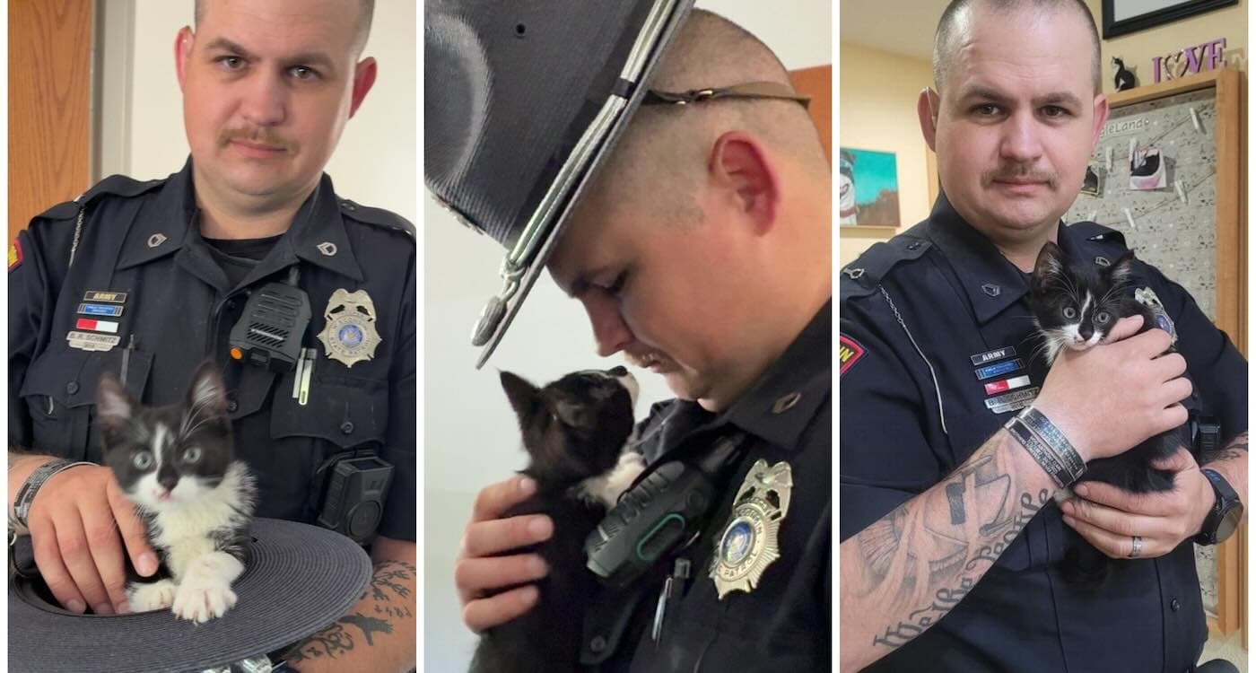 Wisconsin Trooper Rescues Kitten, Finds Lifelong Friend