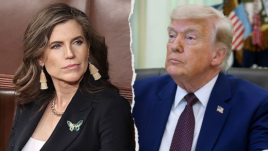 Trump's SC endorsement flops: Mace calls race a 'dog fight