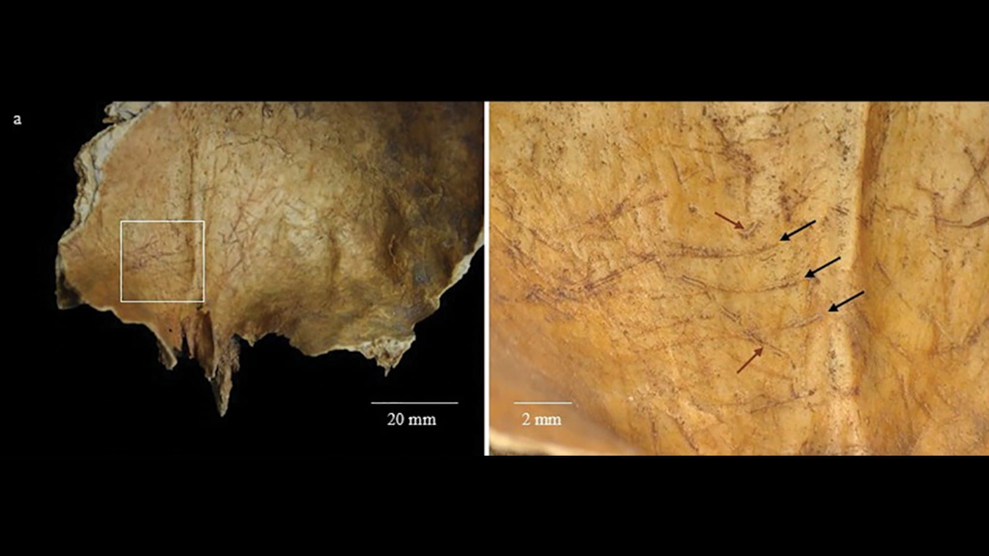 Iron Age Burial Practice Challenges Modern Understanding