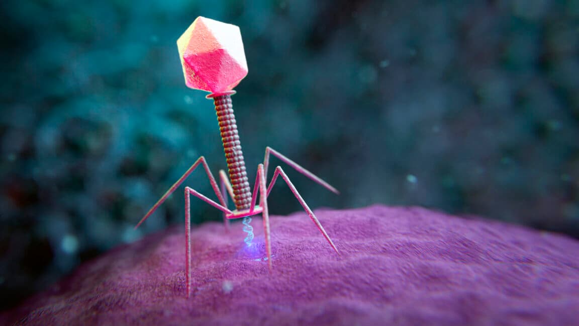 AI Genome Models Enable Rapid Virus Design