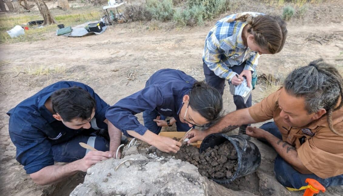 Aboriginal Community Honors Dingo's Final Resting Place