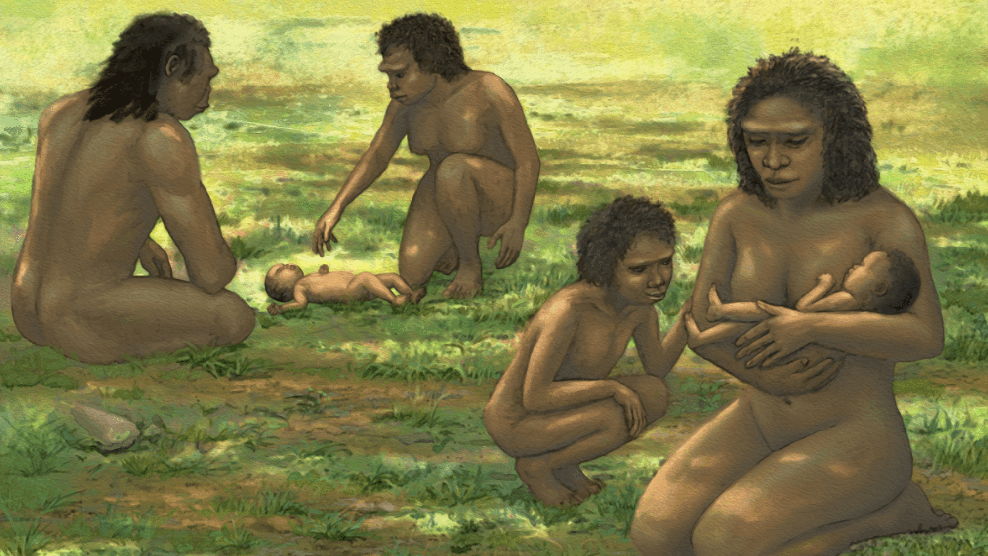 Why human babies stay helpless longer than any ape