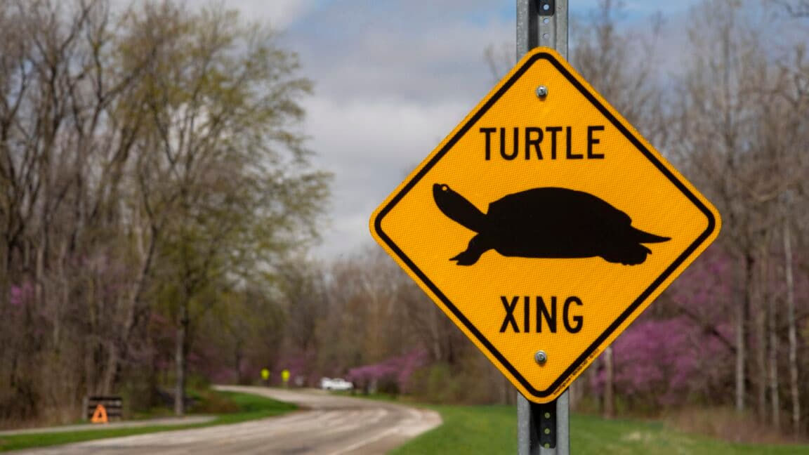 FCC kills gigabit dreams, coddling slow internet forever