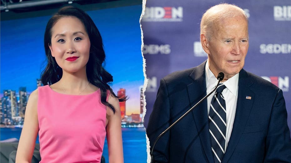 Ex-Dem fundraiser exposes Biden coverup conspiracy in bombshell book