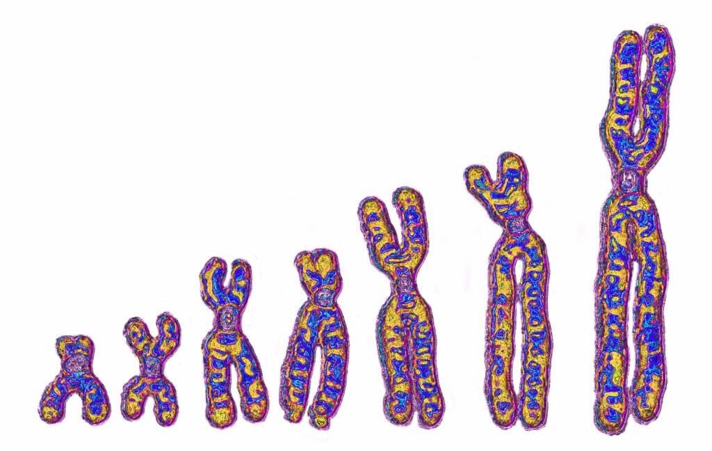 Ancient African Ghost Lineage Rewrites Human DNA Story
