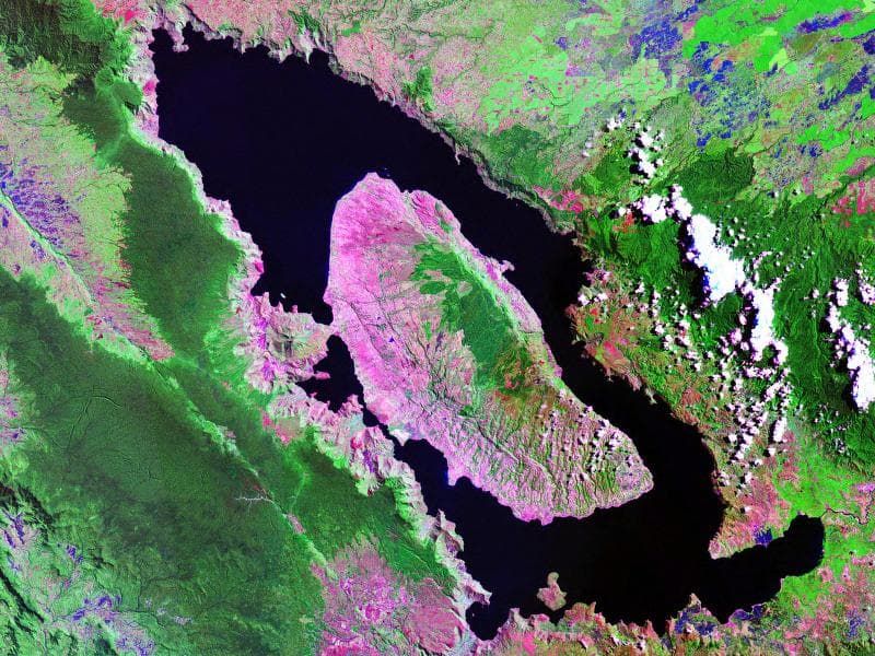 Mount Toba's Eruption: Humanity's Near-Death Experience Reconsidered
