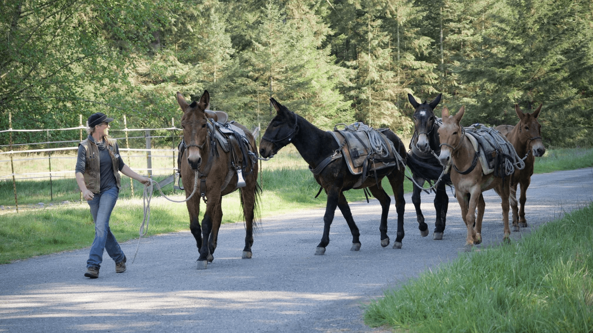 Meet the five new trail guardians of Olympic National Park