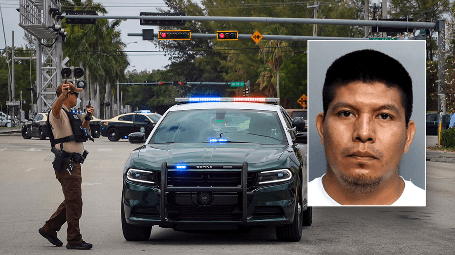 Illegal Immigrant Mows Down Elderly Woman, ICE Cracks Down