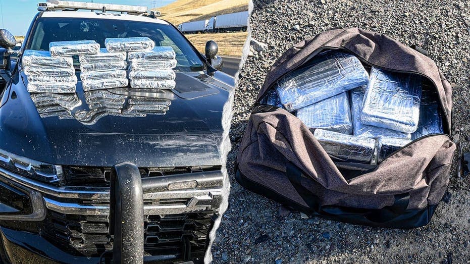 California bust: 30 pounds of coke, $800K gone